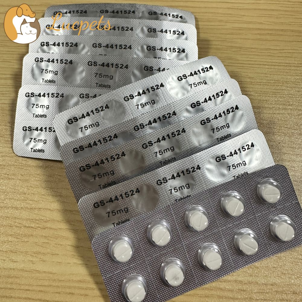 GS-441524 Tablets Suppliers: How to Find Reliable Sources for FIP Treatment