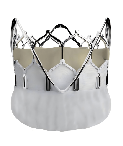 Transcatheter Aortic Valve: Selecting a High-Quality Manufacturer